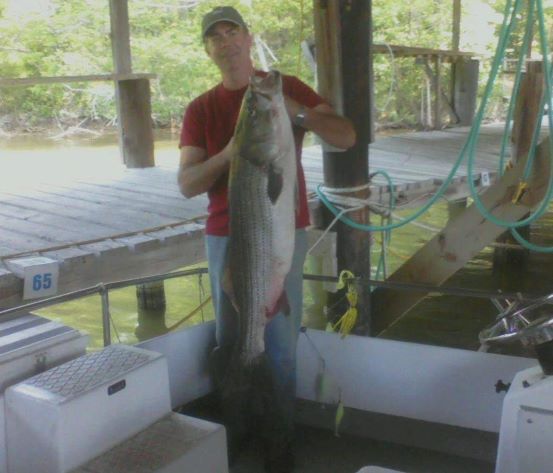 Captain Scottie poses with large striped bass