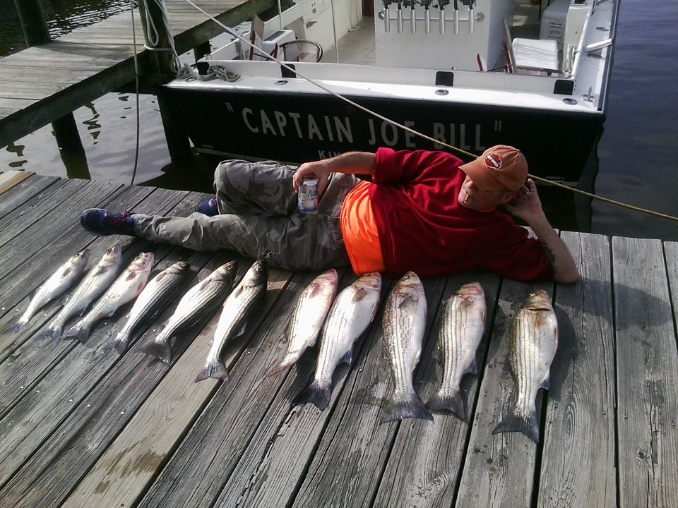 Man posing on the dock with his fish lined up